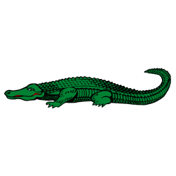 Crocodile 4