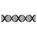 DNA Helix