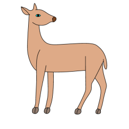 Deer 36