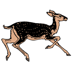 Deer 38