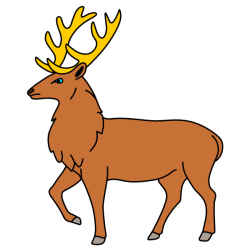 Deer 39