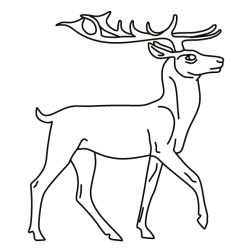 Deer 46