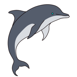 Dolphin 10