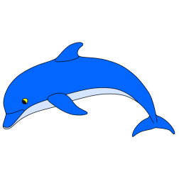 Dolphin 9