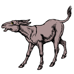 Donkey II