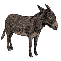 Donkey I
