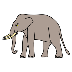 Elephant III