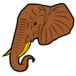 Elephant VIII