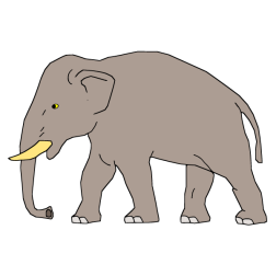 Elephant XXIII