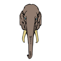 Elephant XXVII