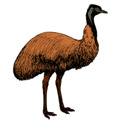 Emu 2