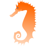 Seahorse-1580132410