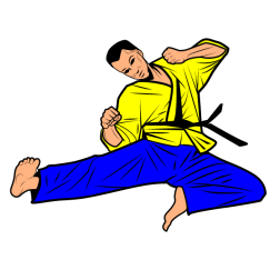 Fighter 3