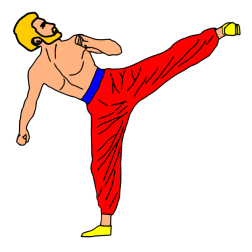 Fighter 5