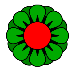 Flower 97