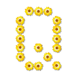 Q made of sunflowers