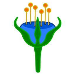 Flowers 68
