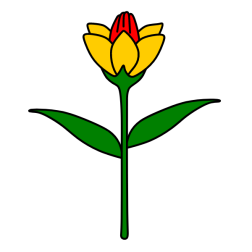 Flowers 69