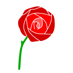 Flowers 76