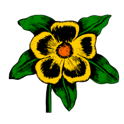 Flowers 78