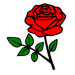 Flowers 81
