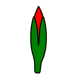 Flowers 90