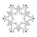 Flourish lace image