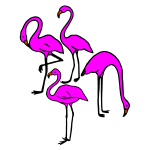 Four flamingos 5