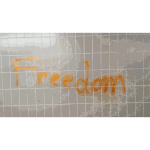 Freedom Graffiti Writing 2014110421