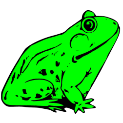Frog IV