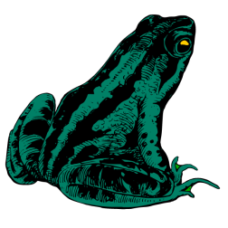 Frog X