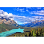 Blue lake in evergreen forest