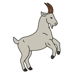 Goat 10