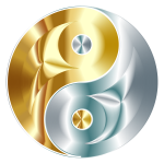 Gold And Silver Yin Yang No Background