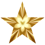 Golden Star Blossom