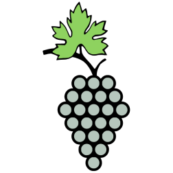 Grapes 26