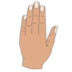 Hand 4