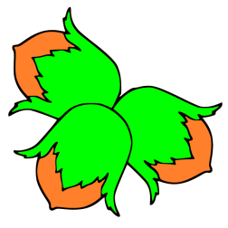 Hazelnut III