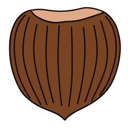 Hazelnut VI