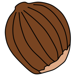Hazelnut VIII