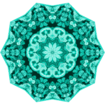 Hexacorolla5