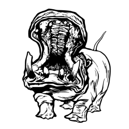 Hippopotamus 3