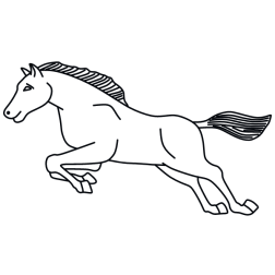 Horse 30