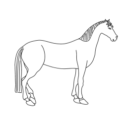 Horse 32