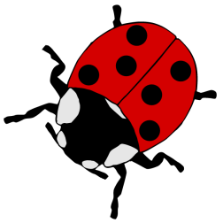 Insect VII