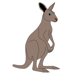 Kangaroo II
