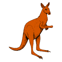 Kangaroo IV