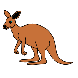 Kangaroo I