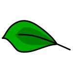 Leaf 3