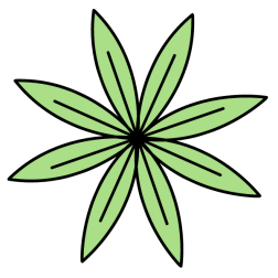 Leaf 6